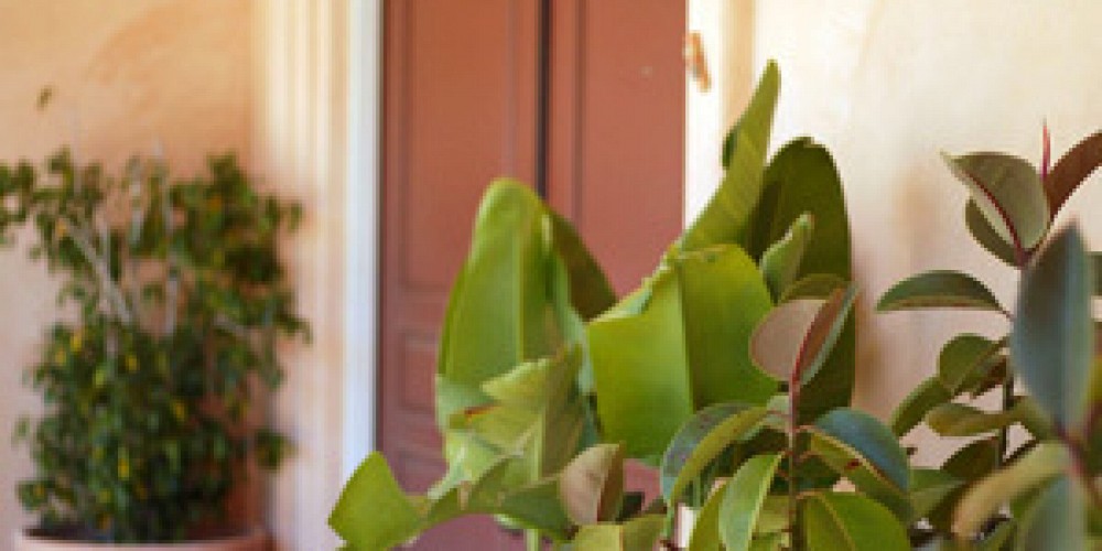 312 Manzanita Lane, Thousand Oaks, CA 91361