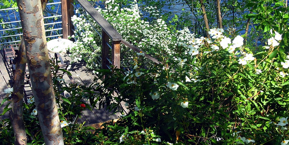 28966 S. Lakeshore Drive, Agoura, CA 91301