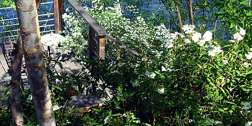 28966 S. Lakeshore Drive, Agoura, CA 91301