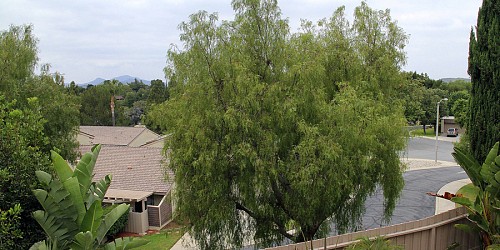 3199 Sunburst Place, Thousand Oaks, CA 91360