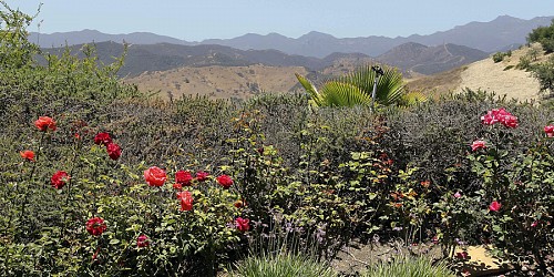 789 Emerson Street, Thousand Oaks, CA 91362