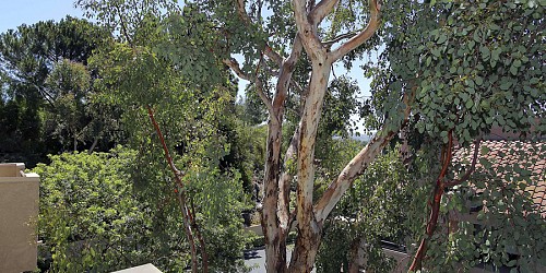 161 Mcafee Court, Thousand Oaks, CA 91360