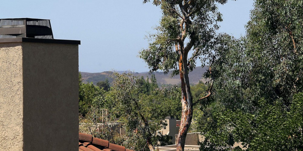 161 Mcafee Court, Thousand Oaks, CA 91360