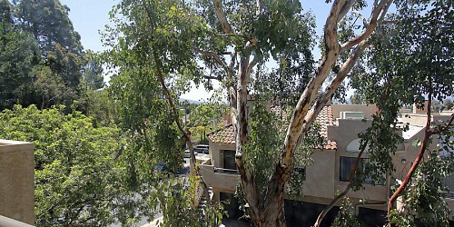 161 Mcafee Court, Thousand Oaks, CA 91360