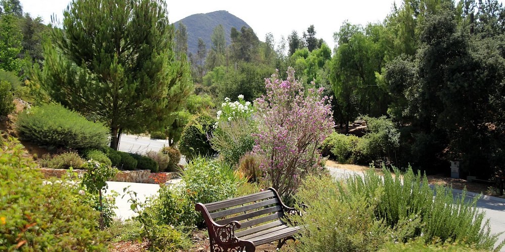 29895 Triunfo Drive, Agoura, CA 91301