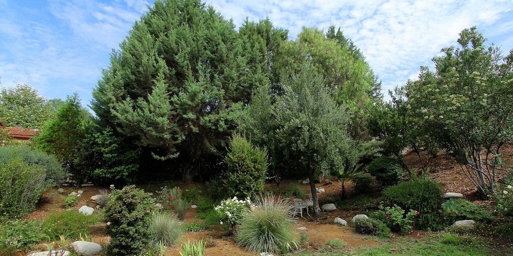 29895 Triunfo Drive, Agoura, CA 91301