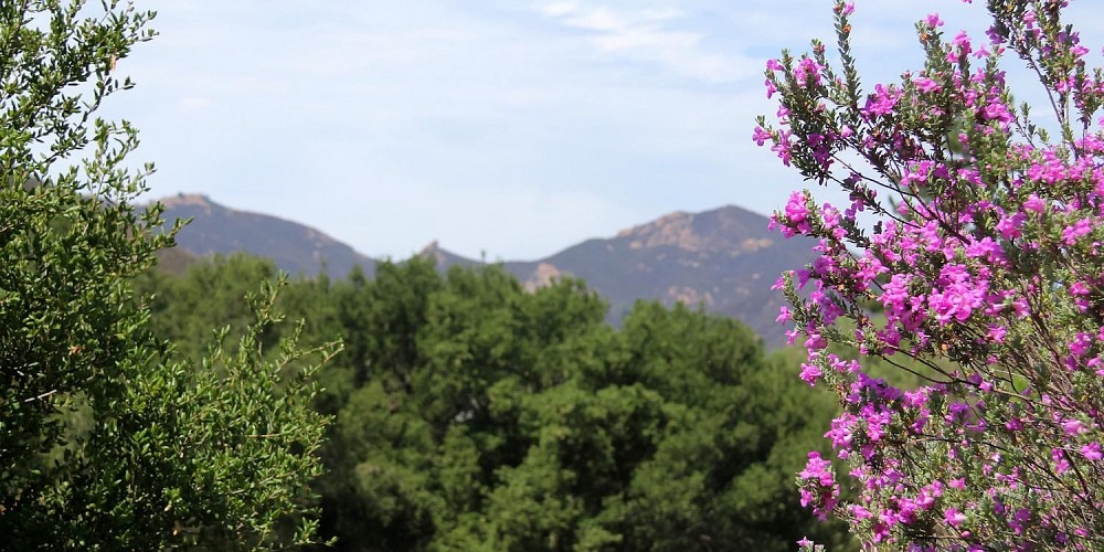 29895 Triunfo Drive, Agoura, CA 91301