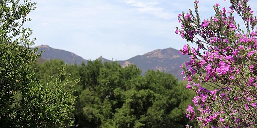 29895 Triunfo Drive, Agoura, CA 91301