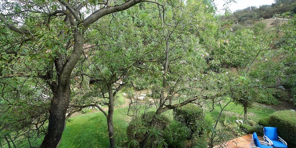 29895 Triunfo Drive, Agoura, CA 91301