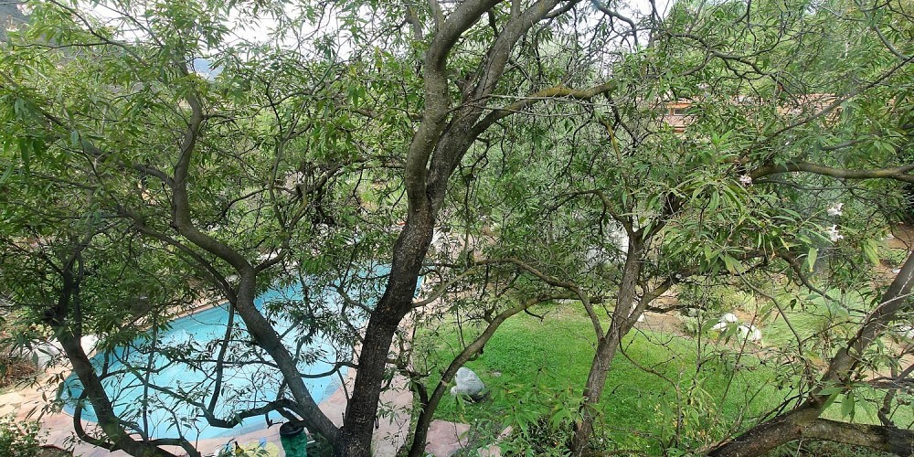 29895 Triunfo Drive, Agoura, CA 91301