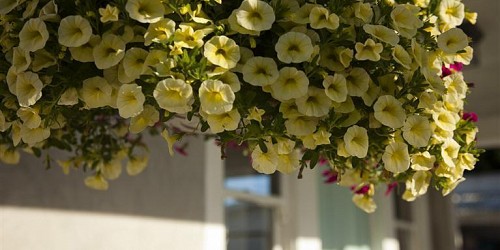 224 S. Santa Rosa Street, Ventura, CA 93001