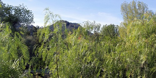 29220 Crags Drive, Agoura, CA 91301