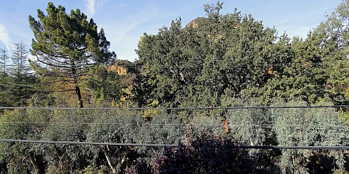 29220 Crags Drive, Agoura, CA 91301