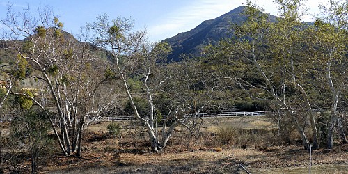 31625 Lobo Canyon Road, Agoura, CA 91301