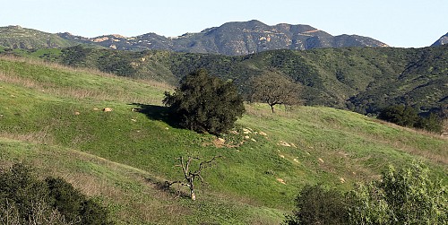 3922 Davids Road, Agoura Hills, CA 91301