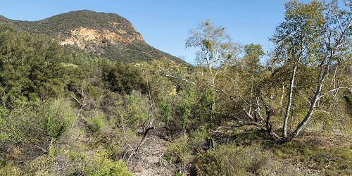 2052 Shadow Creek Drive, Agoura, CA 91301