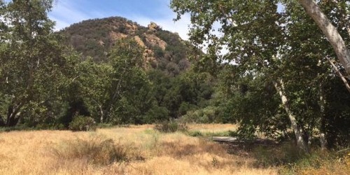 Waring, Agoura, CA 91301