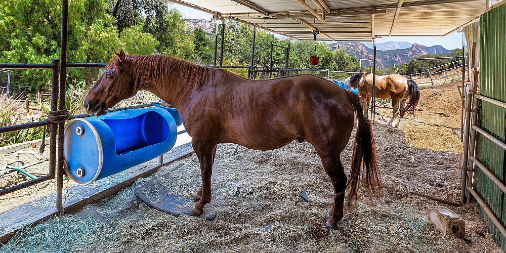 1636 Lookout Drive, Agoura, CA 91301