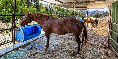1636 Lookout Drive, Agoura, CA 91301
