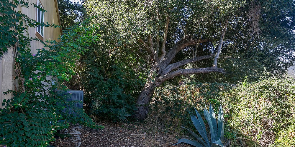 1667 Las Virgenes Canyon Rd #3, Calabasas, CA 91302