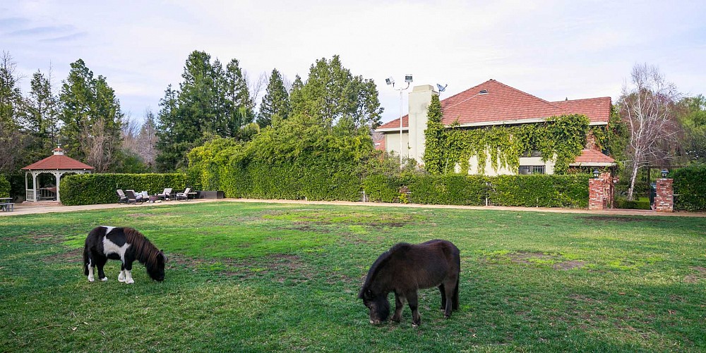 3737 Medea Creek, Agoura, CA 91301