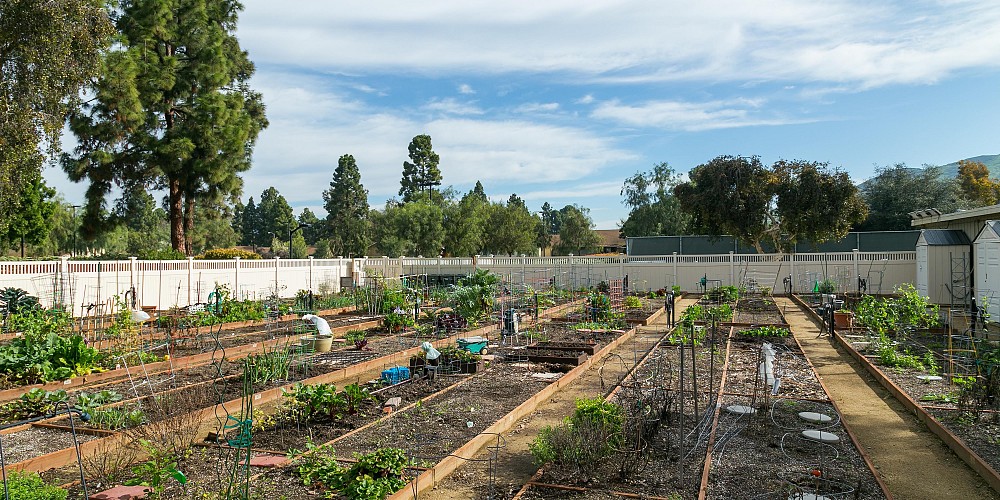 16309 Village 16, Camarillo, CA 93012