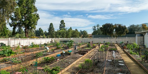 16309 Village 16, Camarillo, CA 93012