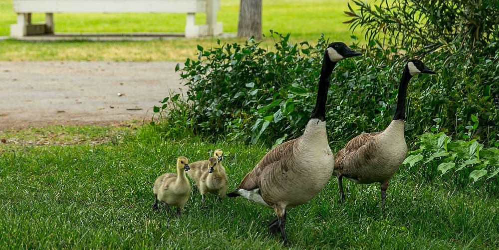 29085 Lake Vista, Agoura, CA 91301