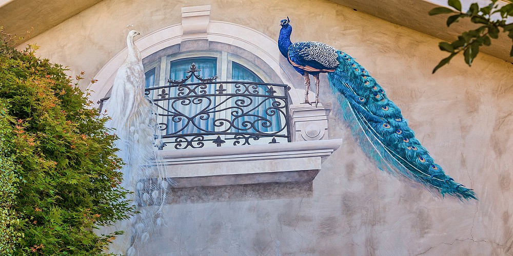 30124 Mulholland Hwy, Agoura Hills, CA 91301