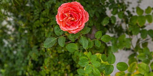 28863 Eagleton St, Agoura Hills, CA 91301