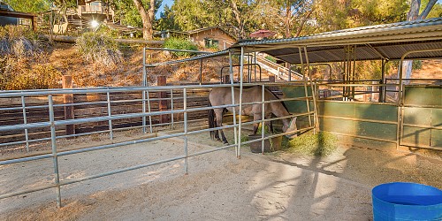 29984 Triunfo Dr, Agoura Hills, CA 91301