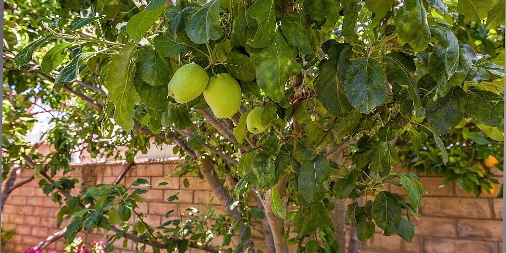 176 Wedgewood Circle, Thousand Oaks, CA 91360