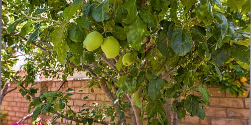 176 Wedgewood Circle, Thousand Oaks, CA 91360