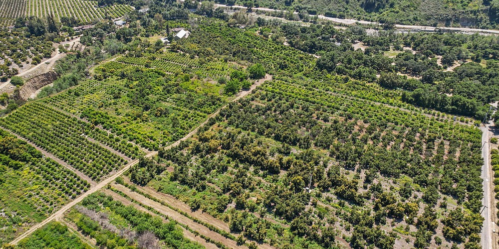 5682 Pine Grove Road, Santa Paula, CA 93060