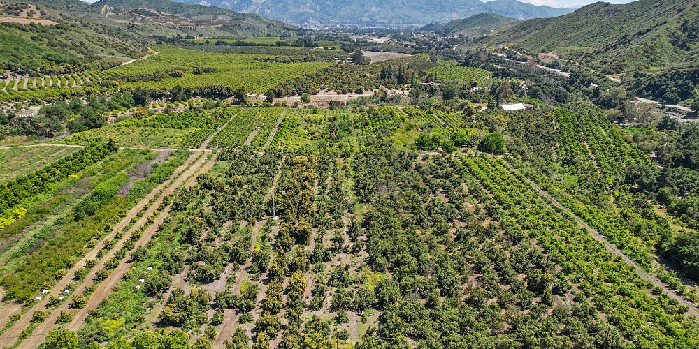 5682 Pine Grove Road, Santa Paula, CA 93060