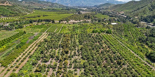 5682 Pine Grove Road, Santa Paula, CA 93060