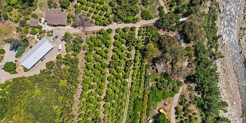 5682 Pine Grove Road, Santa Paula, CA 93060