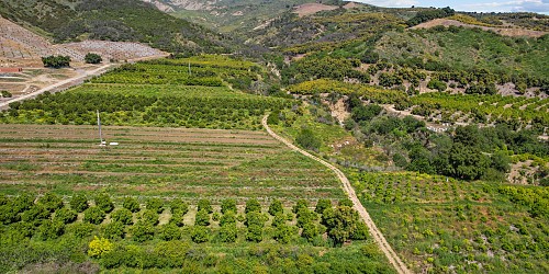 5682 Pine Grove Road, Santa Paula, CA 93060