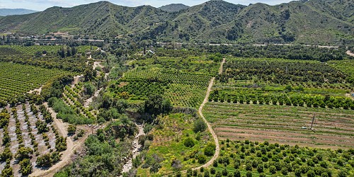 5682 Pine Grove Road, Santa Paula, CA 93060