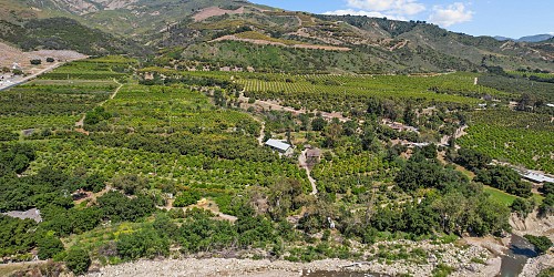 5682 Pine Grove Road, Santa Paula, CA 93060