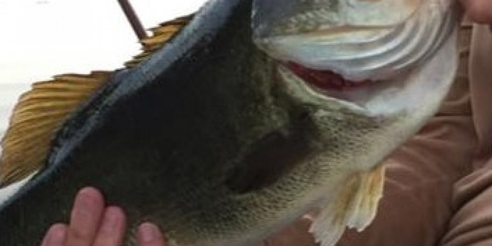 2374 Laguna Circle, Agoura, CA 91301