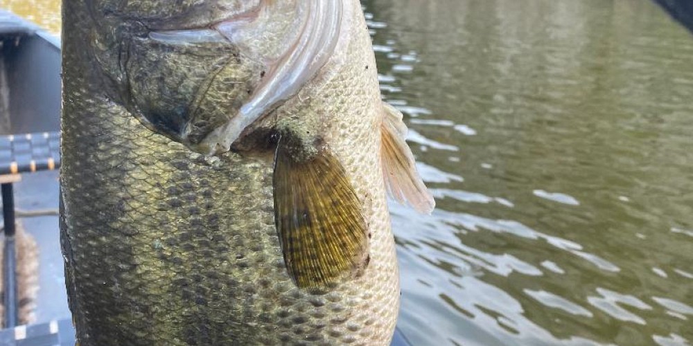 2374 Laguna Circle, Agoura, CA 91301