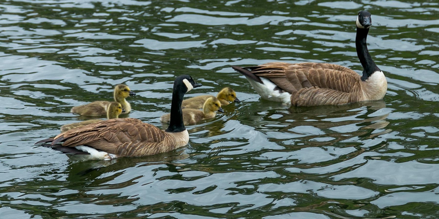 2374 Laguna Circle, Agoura, CA 91301