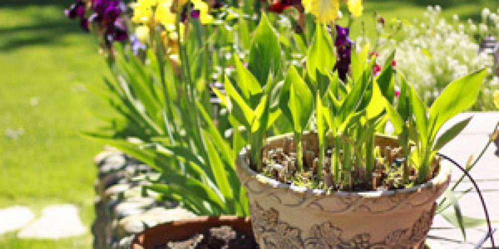 2210 Triunfo Pl, Agoura, CA 91301