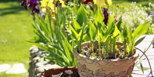 2210 Triunfo Pl, Agoura, CA 91301